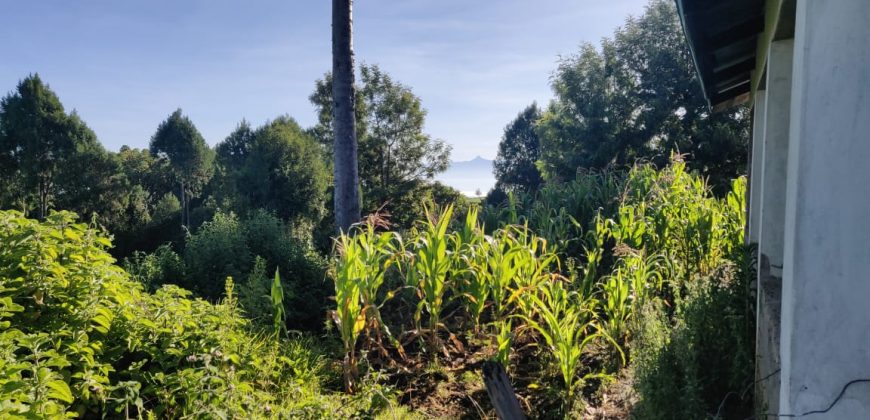 4.25 acres of naturally forested land on the slopes of the Aberdares Nyeri