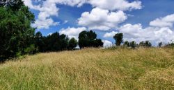 4.25 acres of naturally forested land on the slopes of the Aberdares Nyeri