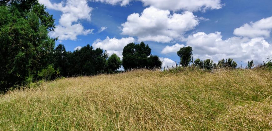 4.25 acres of naturally forested land on the slopes of the Aberdares Nyeri