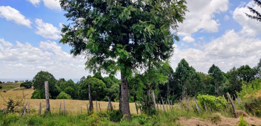 4.25 acres of naturally forested land on the slopes of the Aberdares Nyeri