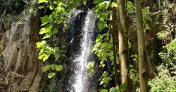 4.25 acres of naturally forested land on the slopes of the Aberdares Nyeri