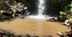 4.25 acres of naturally forested land on the slopes of the Aberdares Nyeri