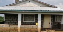 Prime Property in Nairutia