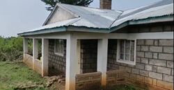 Prime Property in Nairutia