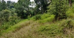 Prime Property in Nairutia